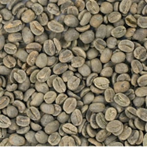 Picture of Guatemala Carrizal - Washed - Green Beans