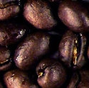 Picture of Sumatra Lintong Grade 1 - Semi-Washed - Roasted