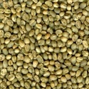 Picture of Colombia Excelso Huila - Washed - Green Beans