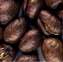 Picture of Brazil Bob-O-Link - Natural Dried - Roasted