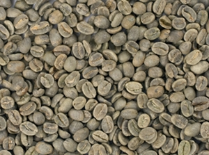 Picture of Tanzania Mbeya Mshikamano -  Washed - Green Beans